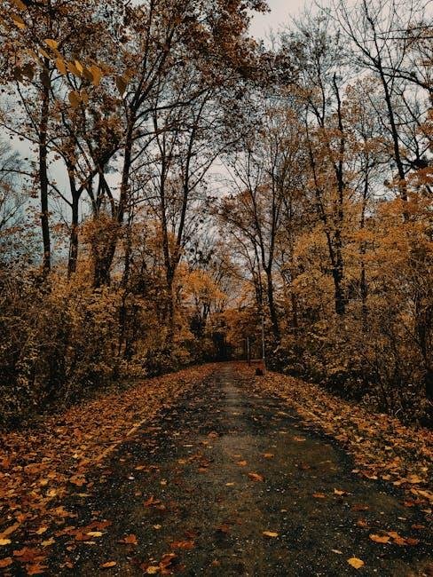 Transitioning Seasons: Adapting Your Capsule Colors Year-Round