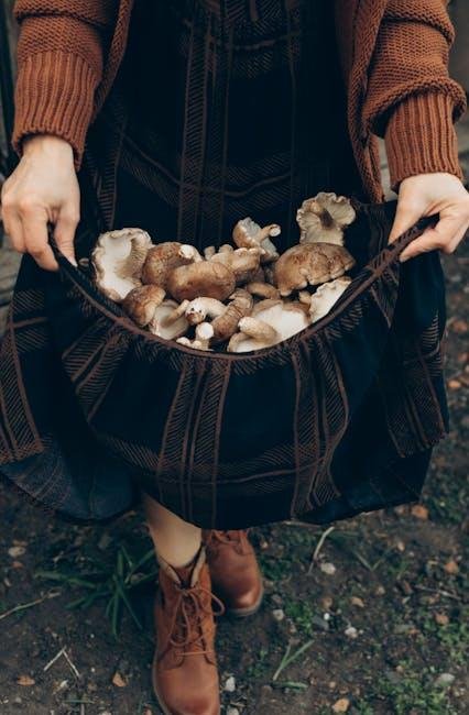 Enduring Style Choices: Ethically Sourced Staples to Consider