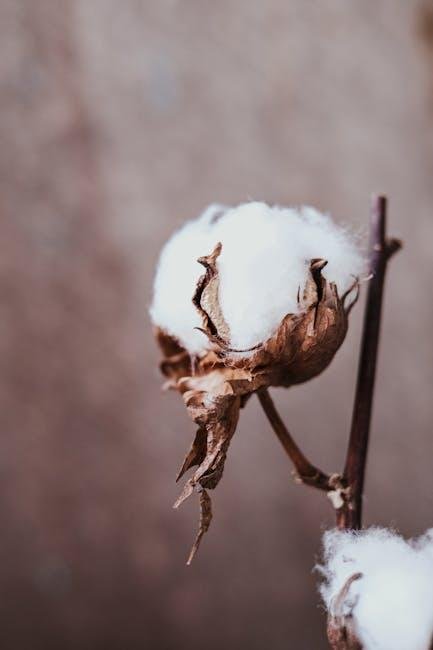 Embracing the Shift: Understanding the Importance of Seasonal capsule Swaps