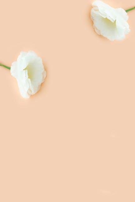 Effortless Elegance: Simplifying‍ Holiday Wardrobe Choices